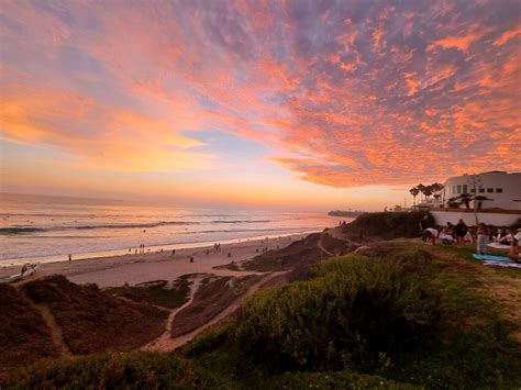 San Diego Surf Society | San Diego CA