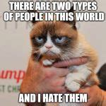 grumpy cat memes  broke  internet viral humor cultural