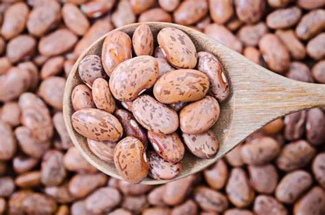 borlotti beans substitute  impress  europeans butter