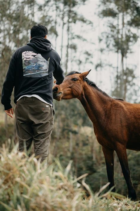 Free Gay Men Photos, Download The BEST Free Free Gay Men Stock Photos