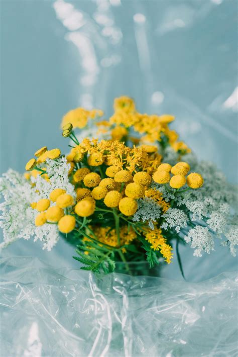 Hd+Beautiful+Naked+Girls Photos, Download The BEST Free Hd+Beautiful