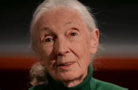 David Attenborough: Ocean comes out on the beloved presenter's 99th
