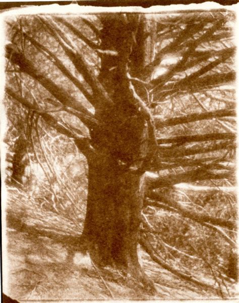 Robert Adamson Master of Photography