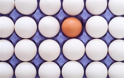 premium photo egg  carton box texture