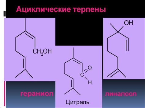 Классификация терпенов - online presentation