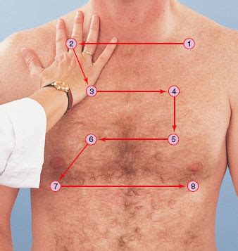 Thorax, Lungs, Heart & Neck Vessels, Peripheral Vascular Flashcards ...