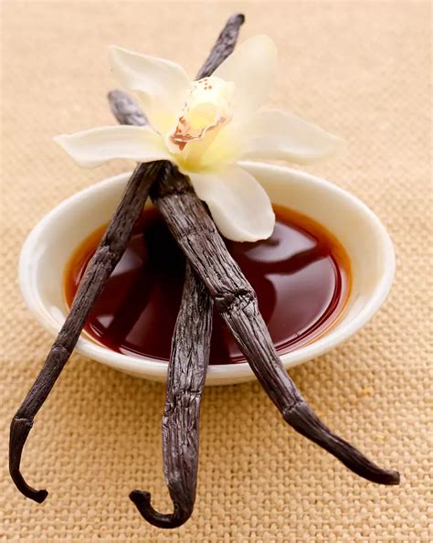 ingredient vanilla extract atrecipeland