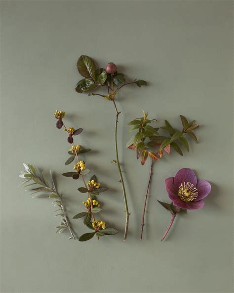 Still life with flowers (colour in nature) fine art photography, modern