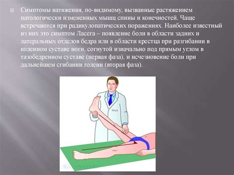 Остеохондроз - презентация онлайн