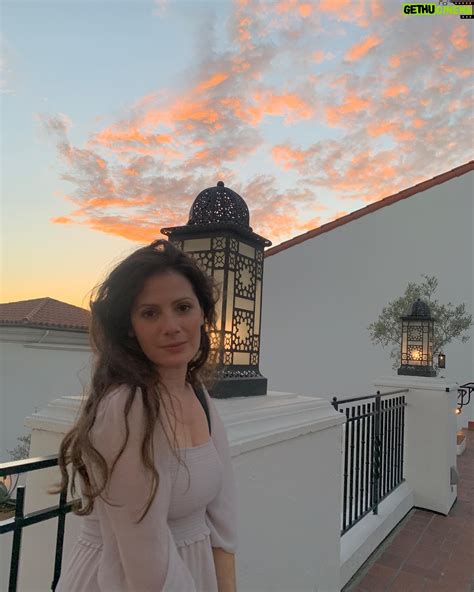 Aleksa Palladino Wiki, Biography, Age, Gallery, Spouse and more