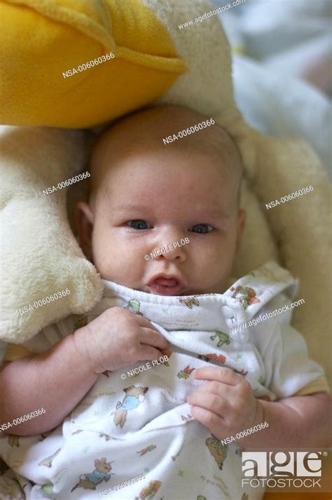 baby with soft toy, Stock Photo, Picture And Rights Managed Image. Pic ...