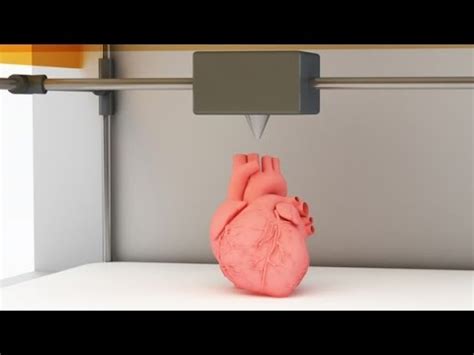 ЖИВЫЕ ОРГАНЫ ПЕЧАТАЮТ НА 3D-ПРИНТЕРЕ - YouTube
