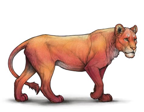 july event falling stars lioden wiki