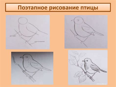 Птицы прилетели. Поэтапное рисование птицы - презентация онлайн