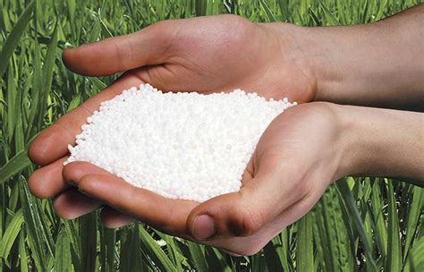 Granular & Prilled Urea - LIMAM TRADING Co Products