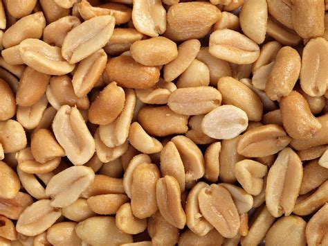 Peanut Trial LEAPS Back Into Limelight at Allergy Meeting