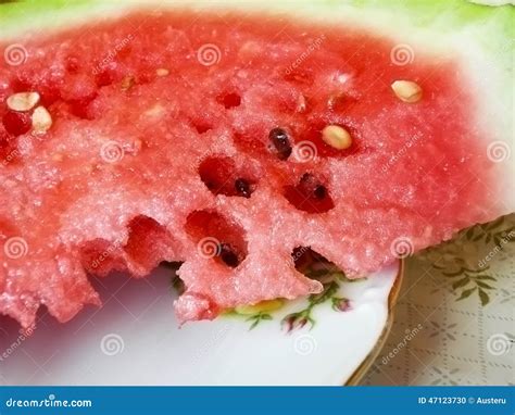 red water melon stock photo image  food sugary agriculture