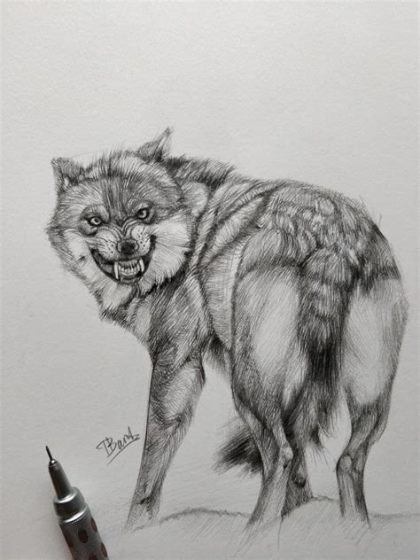 Рисунок волка | Traditional art, Drawings, Art