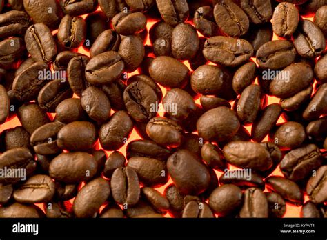 glowing backlit coffee beans close  texture stock photo alamy