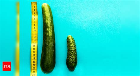sexquery   size   penis increase  summer season