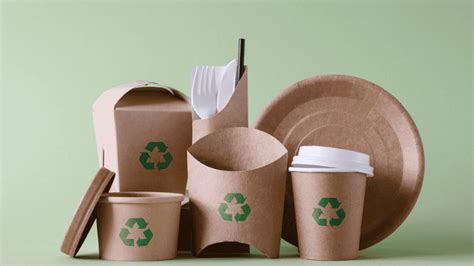 eco friendly packaging examples  enhance  brand packoi