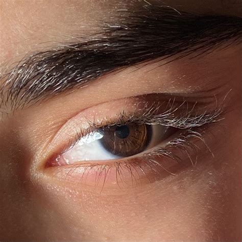 brown eye brown eyes aesthetic aesthetic eyes beautiful brown eyes