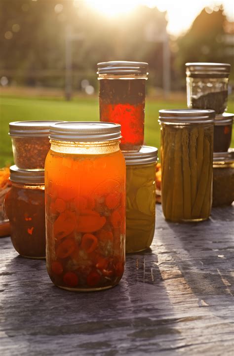 GLADWARES ™ Surprise Life