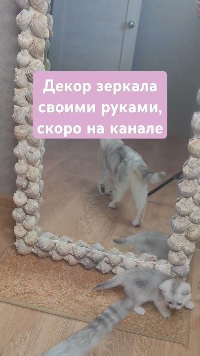Милое зеркало в ракушках, декорируем сами🥰 - YouTube
