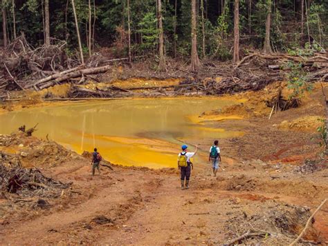 Acid drainage: the global environmental crisis you’ve never heard of