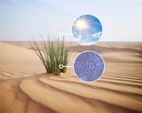 Indigo Ag