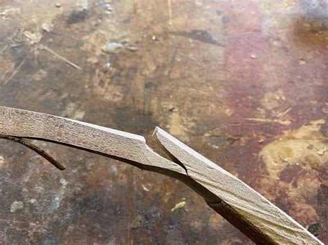 Do a postmortem on this break. It’s privet wood. Low density but