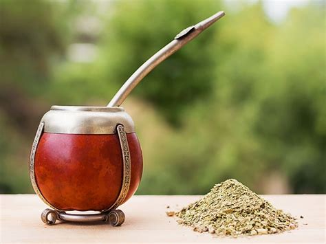 Yerba Mate Cancer Risk: What the Research Finds