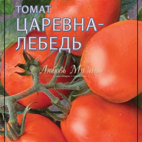 томат ЦАРЕВНА-ЛЕБЕДЬ ц, Мязина