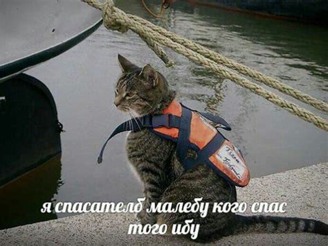 Сара МакДэниел - Девушка Дня