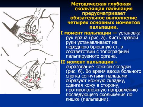 Пропедевтика. Расспрос, осмотр больных с заболеваниями органов ...