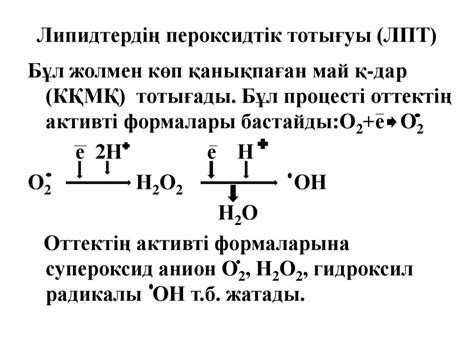 Липидтер алмасуы - презентация онлайн