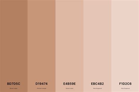 25+ Best Neutral Color Palettes with Names and Hex Codes – CreativeBooster