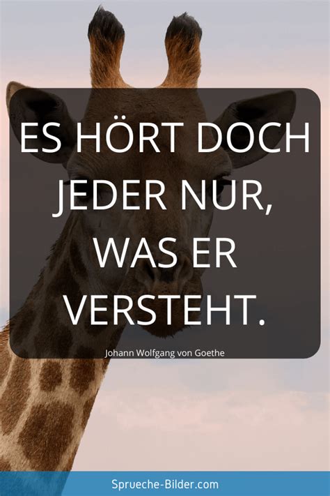 kurze sprueche sprueche bildercom