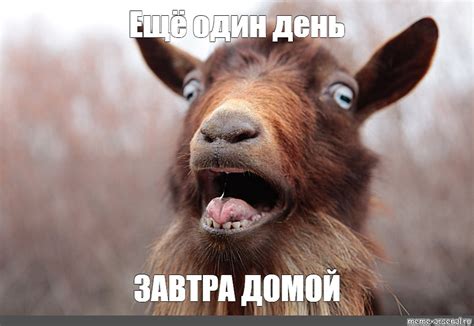 Мем: "Ещё один день ЗАВТРА ДОМОЙ" - Все шаблоны - Meme-arsenal.com