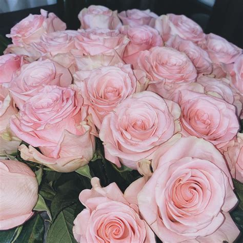a bunch of pink roses sitting on top of a table