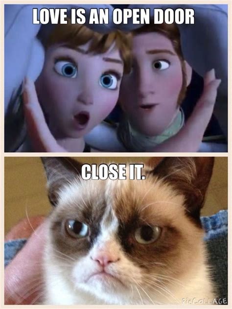 pin  baddestbidder  animal humor grumpy cat quotes funny disney
