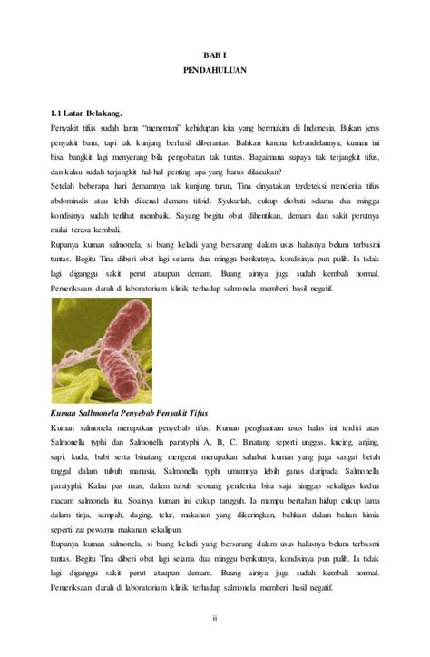 Makalah penyakit tifus