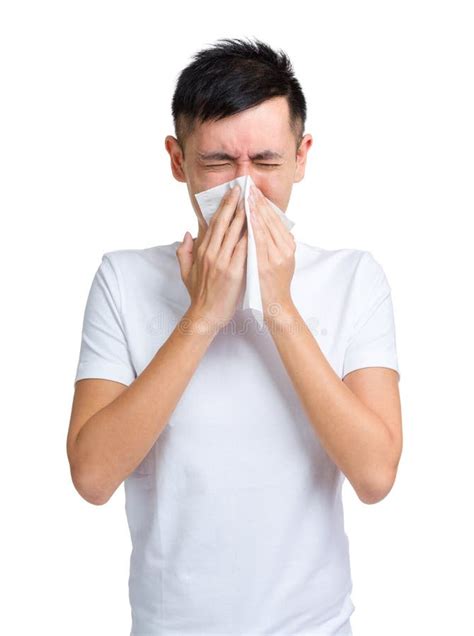 geographic north pole stock photo image  landscape