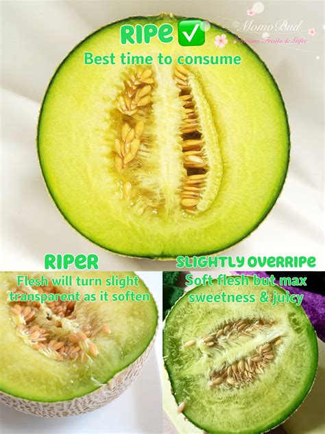 How to identify if your melon is ripe/overripe/spoilt? — MomoBud