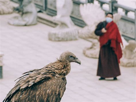 Understanding the Sky Burial | Photo Story
