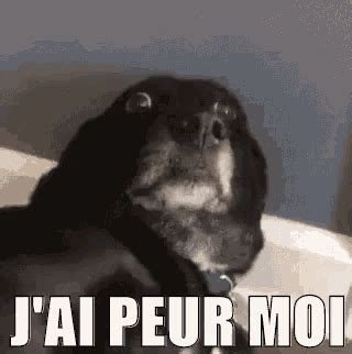 jai peur gif jaipeur discover share gifs