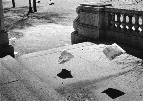 yasuhiro ishimoto stephen daiter gallery