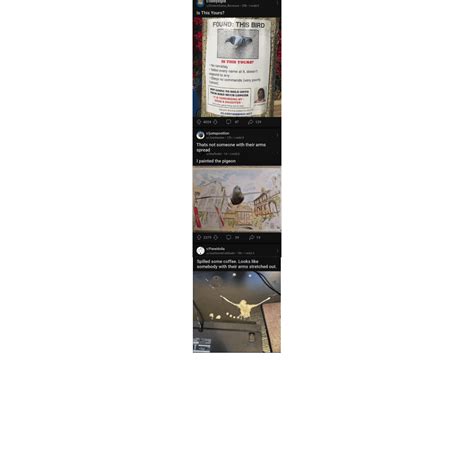Bro thats some crazy shit : r/juxtaposition