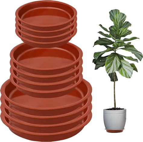 Amazon.co.uk: Plant Saucers - Plant Saucers / Plant Container ...