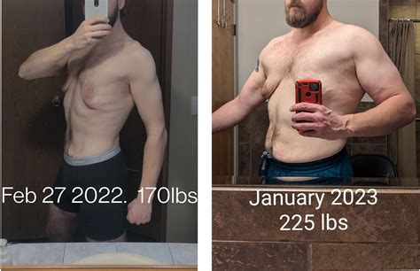 M/27/6'2"[170lbs to 225lbs] first bulk results. Time to cut back down